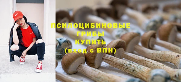 прущая мука Володарск