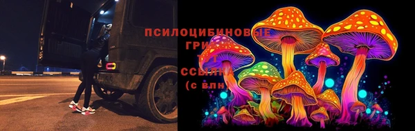 прущая мука Володарск