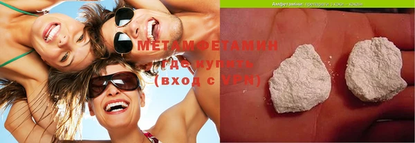 шишки Горняк
