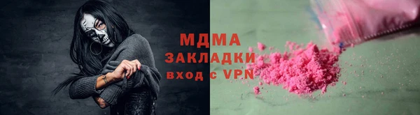 шишки Горняк